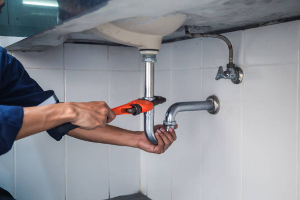 Best Emergency Plumber  in Dallas Center, IA