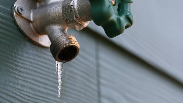 Best Same-Day Plumbing Service  in Dallas Center, IA